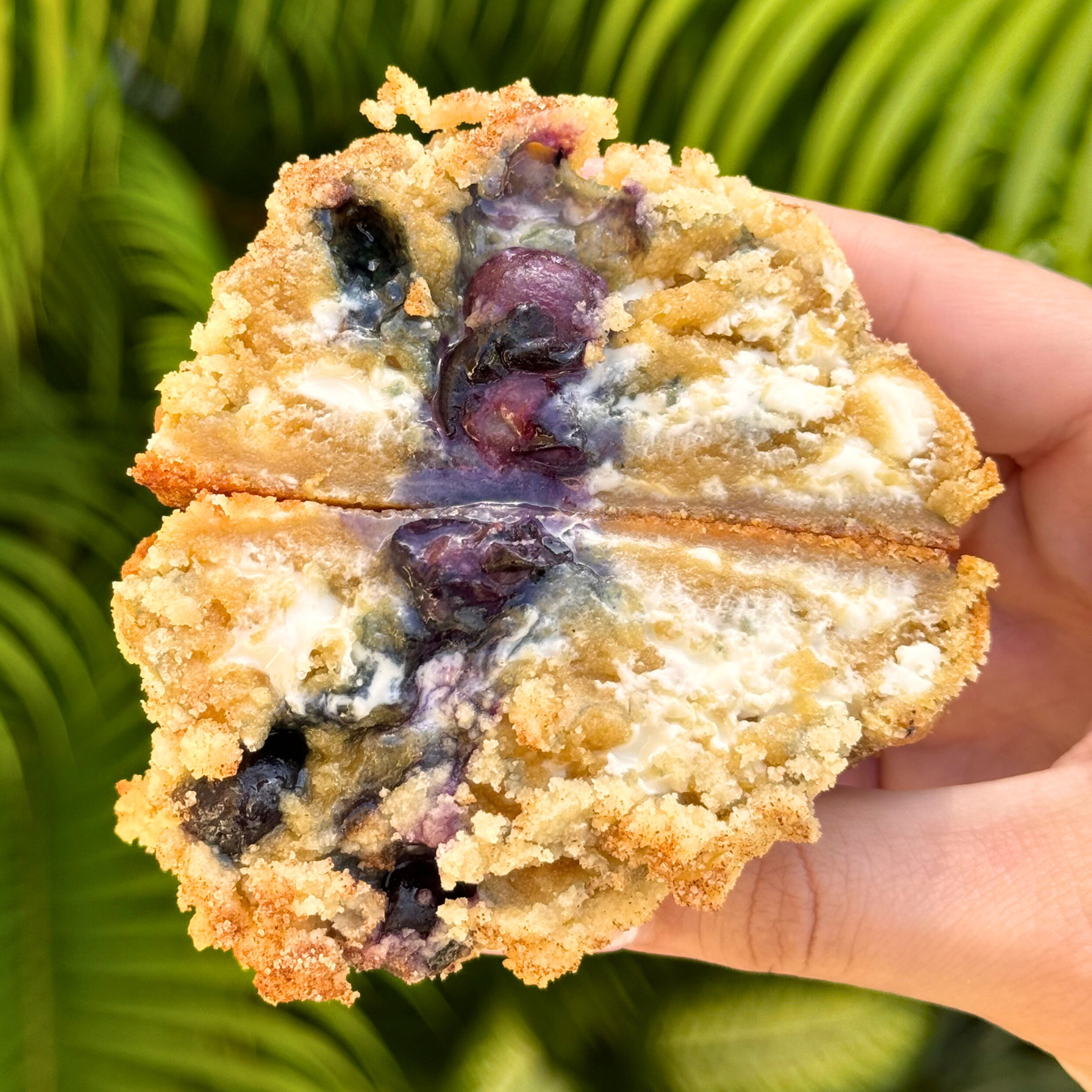 Blueberry Muffin Cookie Recipe (SEASONAL)
