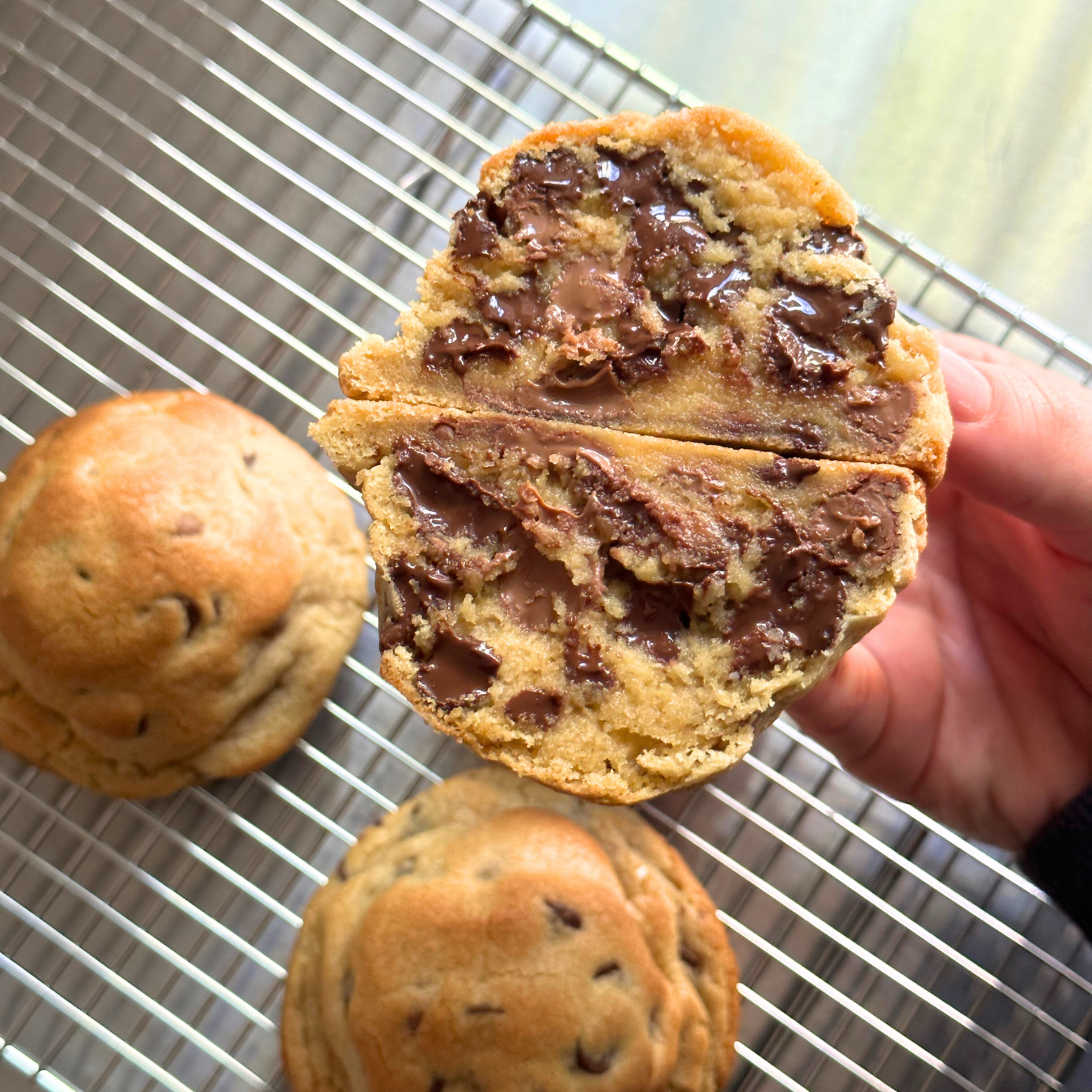 12 Seasonal Cookie Recipes Bundle