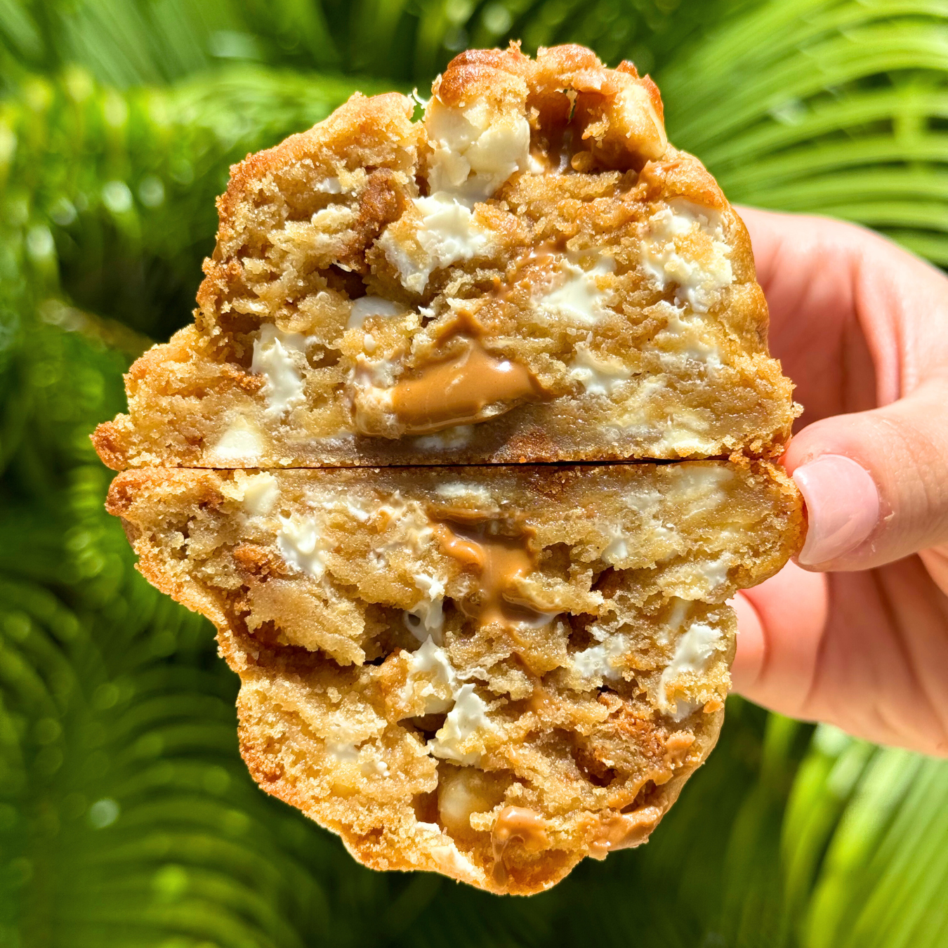 Cookie Butter Cookie Recipe