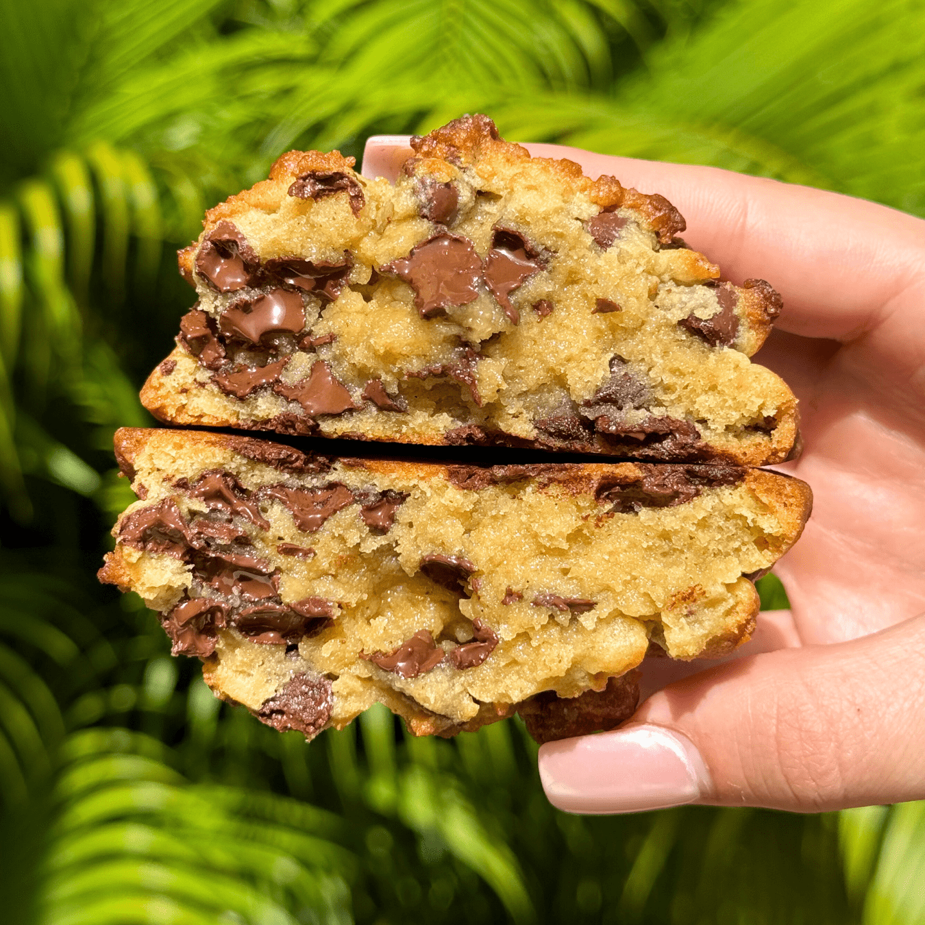 Copycat Levain Bakery Chocolate Chip Cookie Recipe