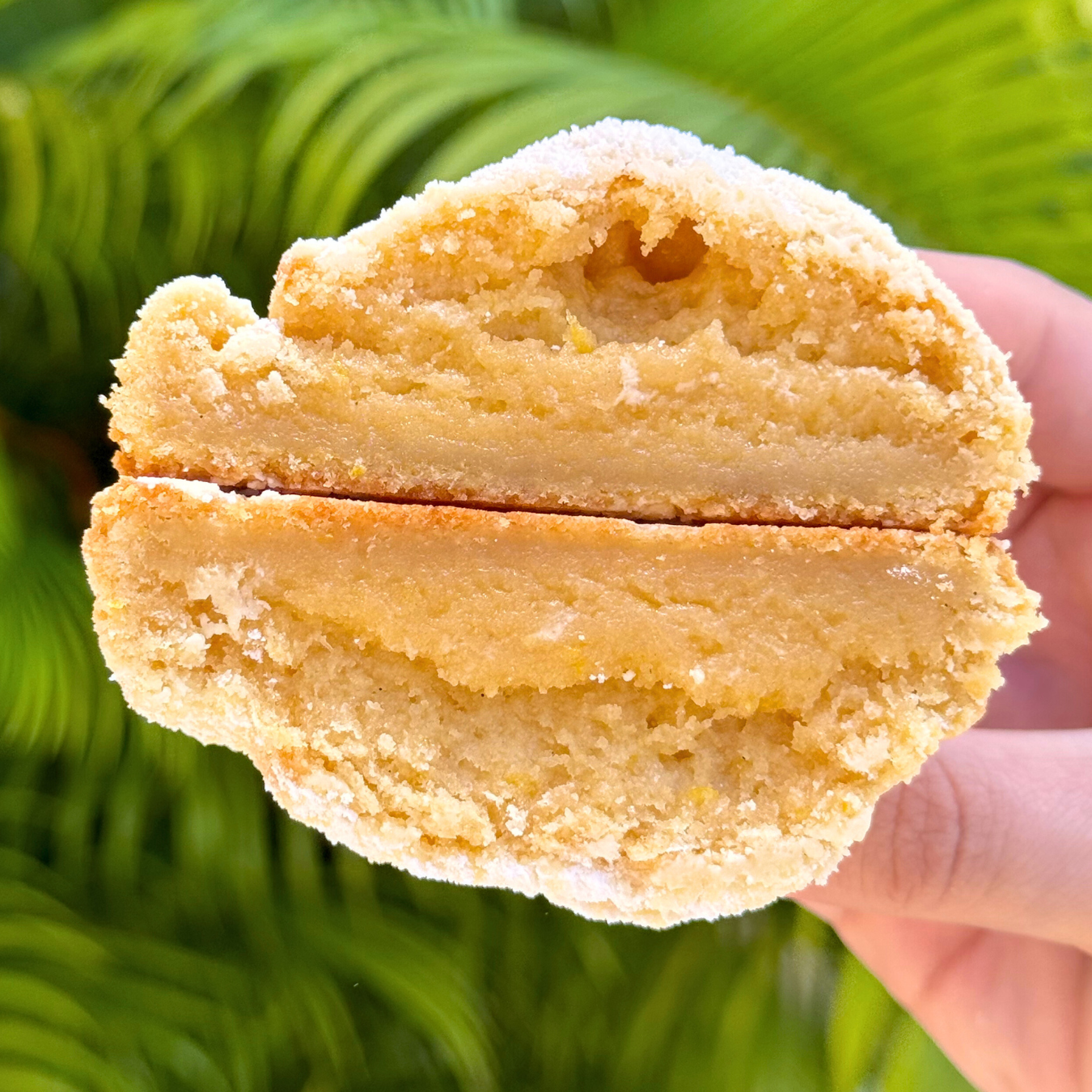12 Seasonal Cookie Recipes Bundle
