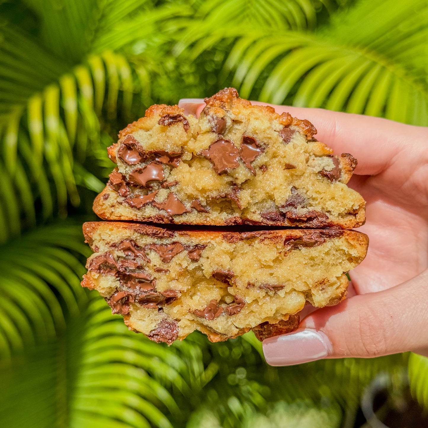 12 Seasonal Cookie Recipes Bundle