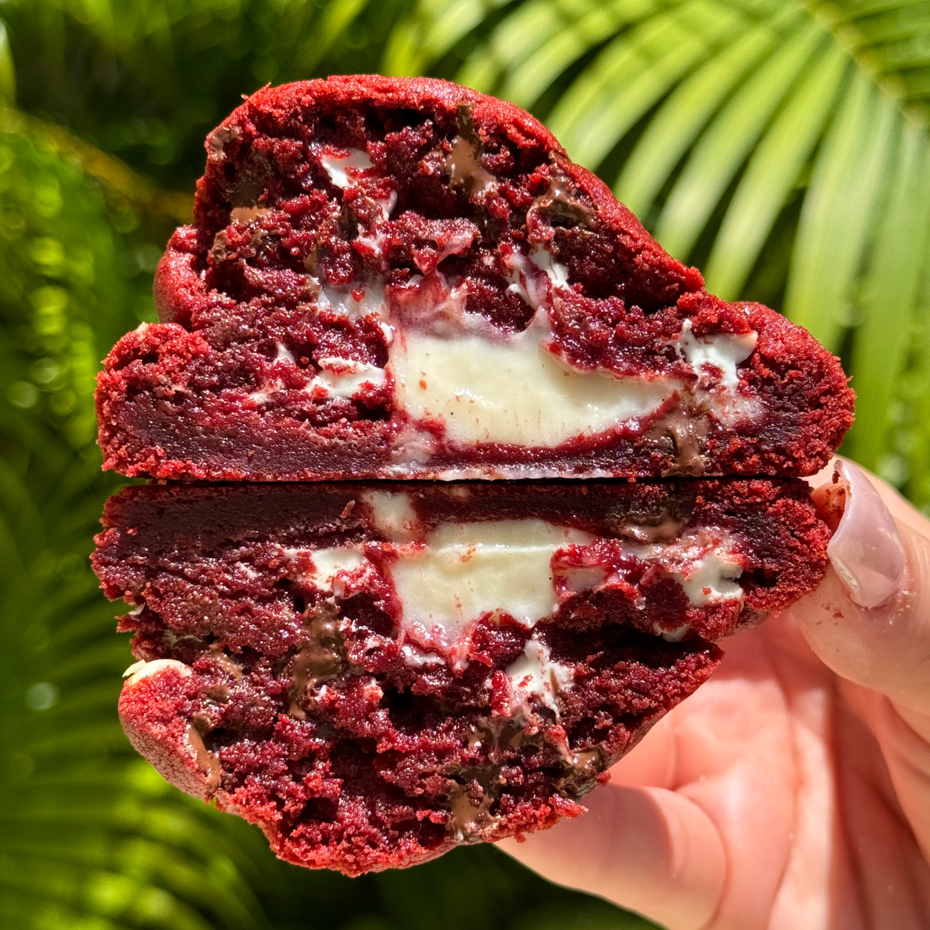 Red Velvet Cookie Recipe