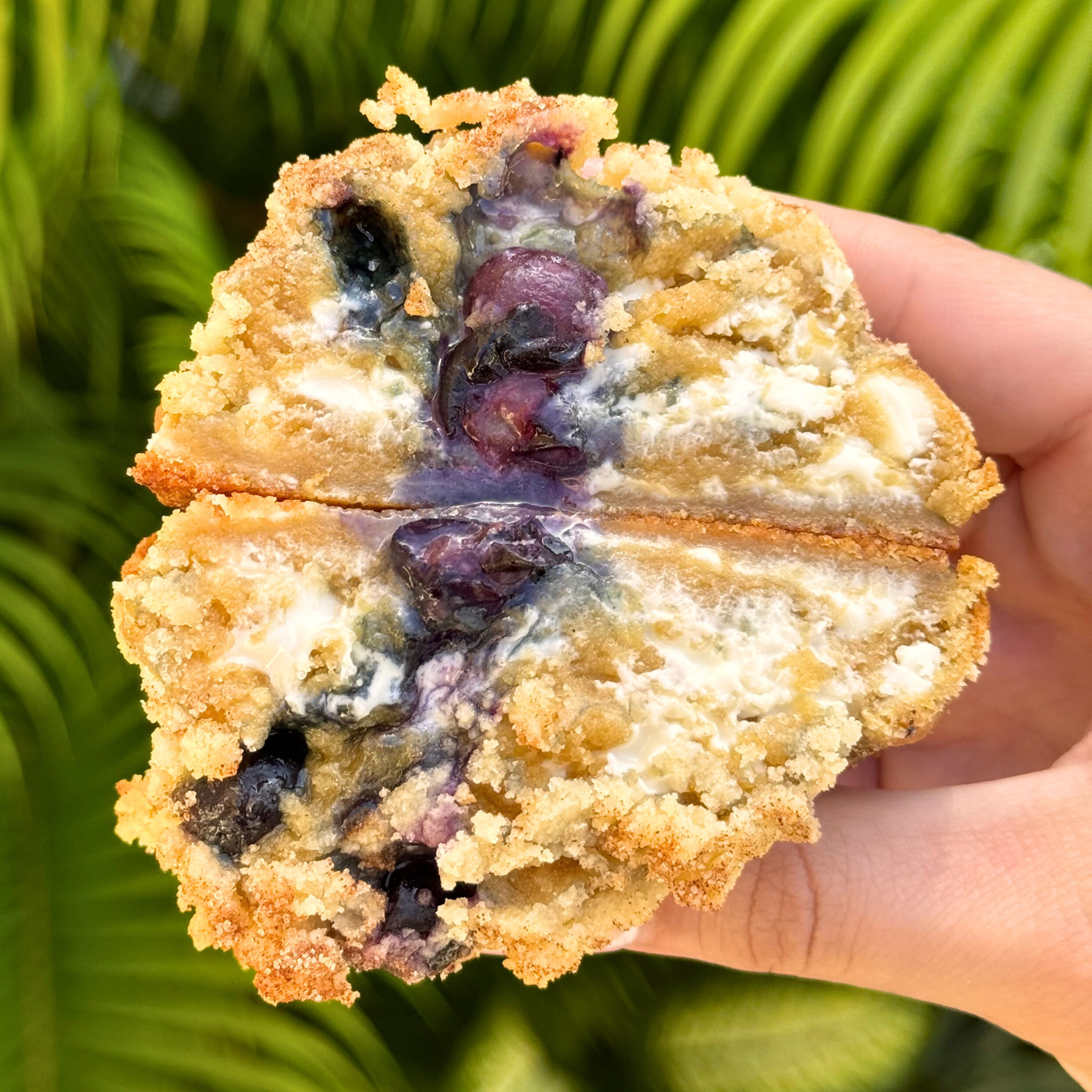 Blueberry Muffin Chunky Cookie Recipe (SEASONAL)