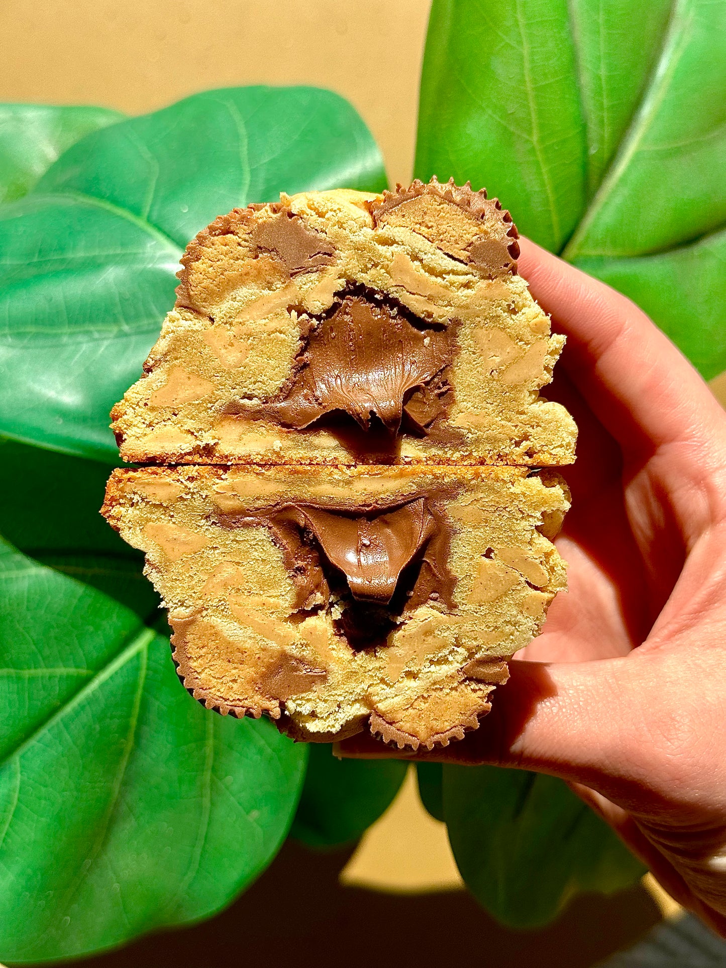 Peanut Butter Nutella Cookie Recipe