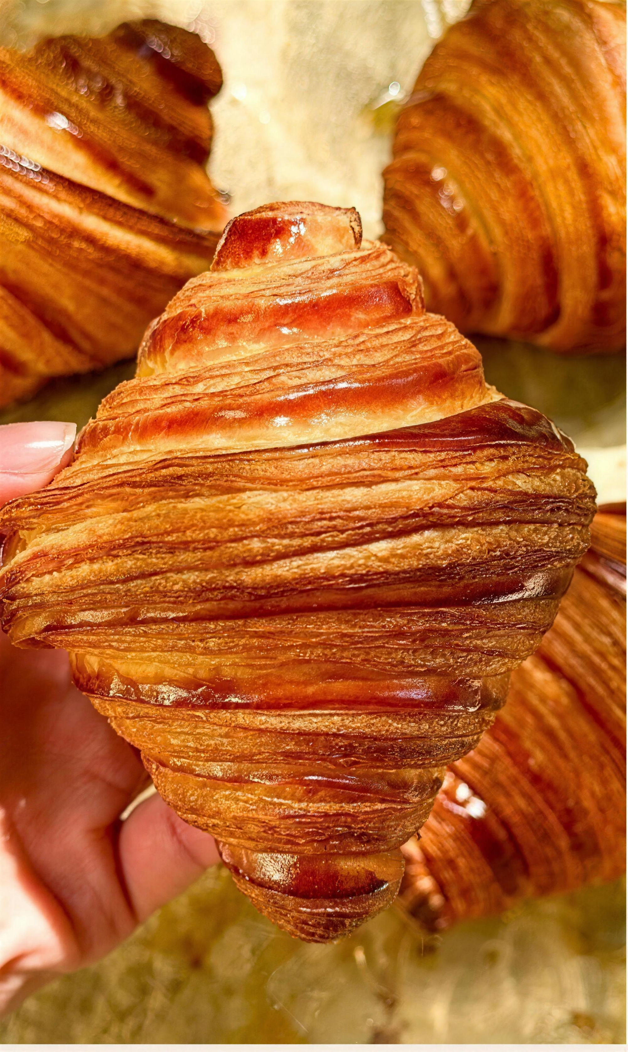 Laminated croissant held in hand, tray of golden croissants behind — Trained in Paris homepage banner